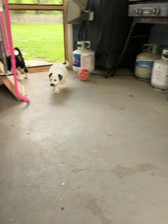 Post 6 by Brittany on TikTok (video)