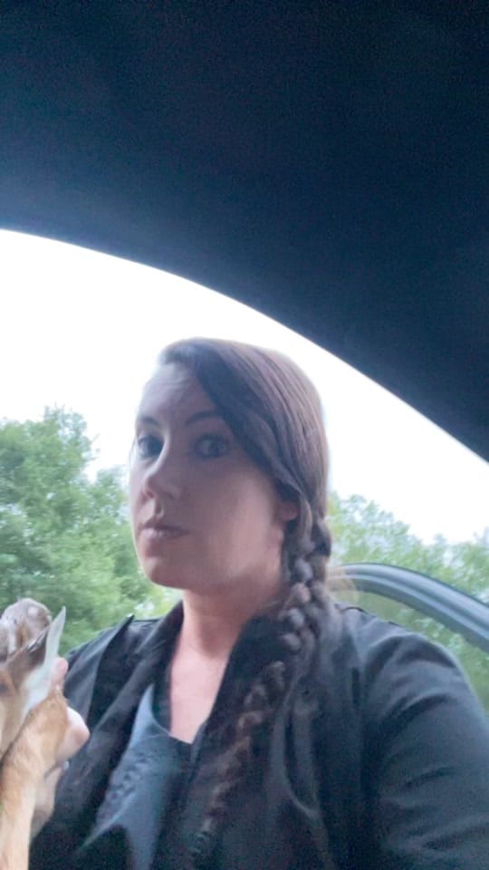 Post 9 by Christina Mae🩷⚡️🐾💙✨ on TikTok (video)