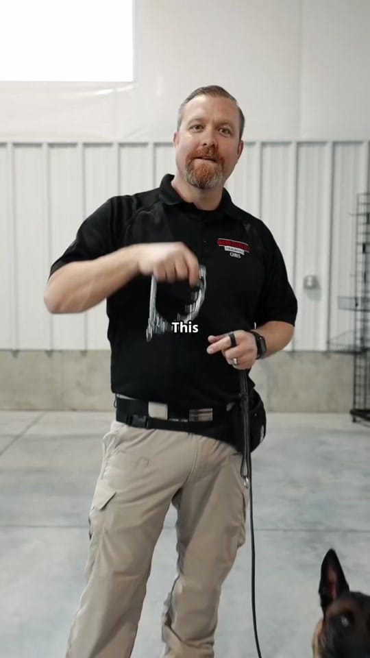Post 9 by Idaho Elite K-9 on TikTok (video)