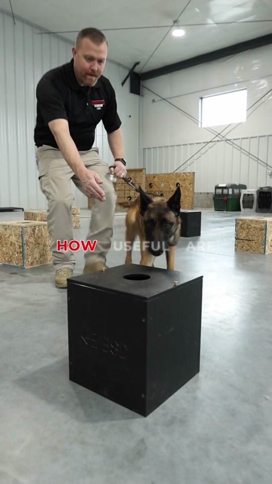 Post 7 by Idaho Elite K-9 on TikTok (video)