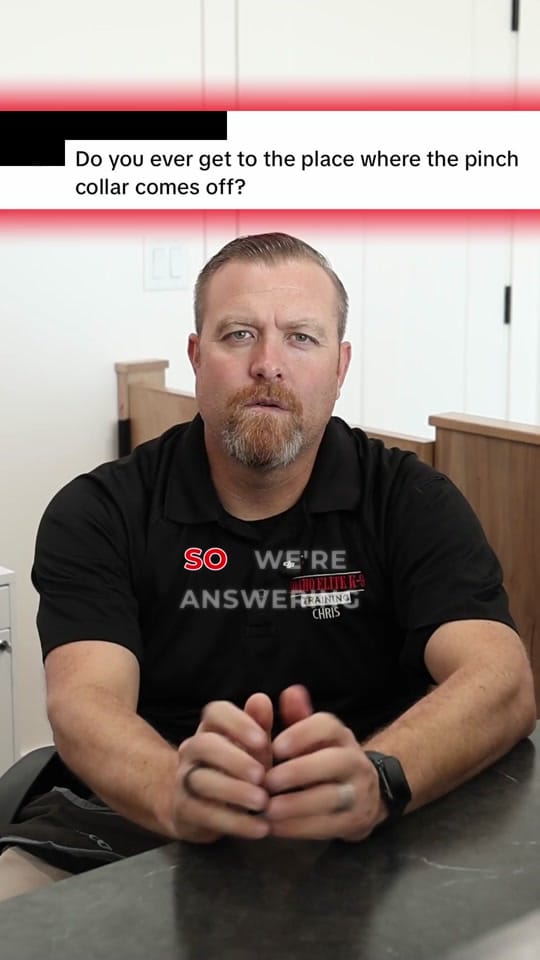 Post 5 by Idaho Elite K-9 on TikTok (video)