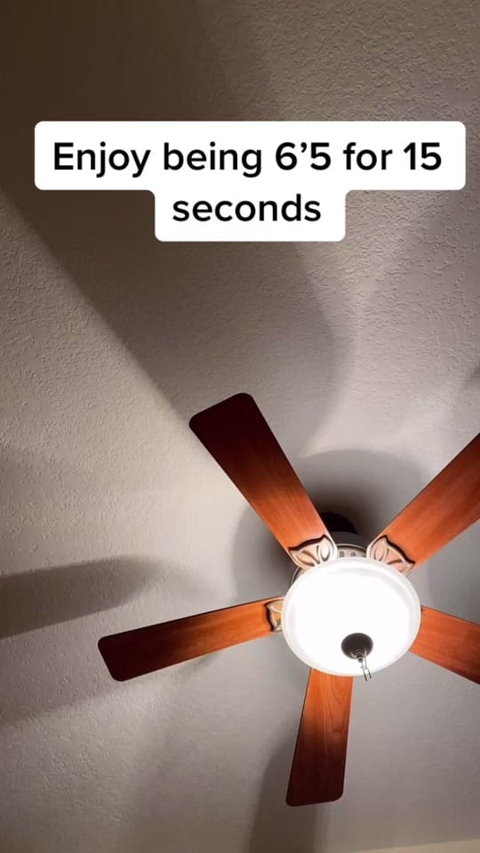 Post 7 by shlgboys on TikTok (video)