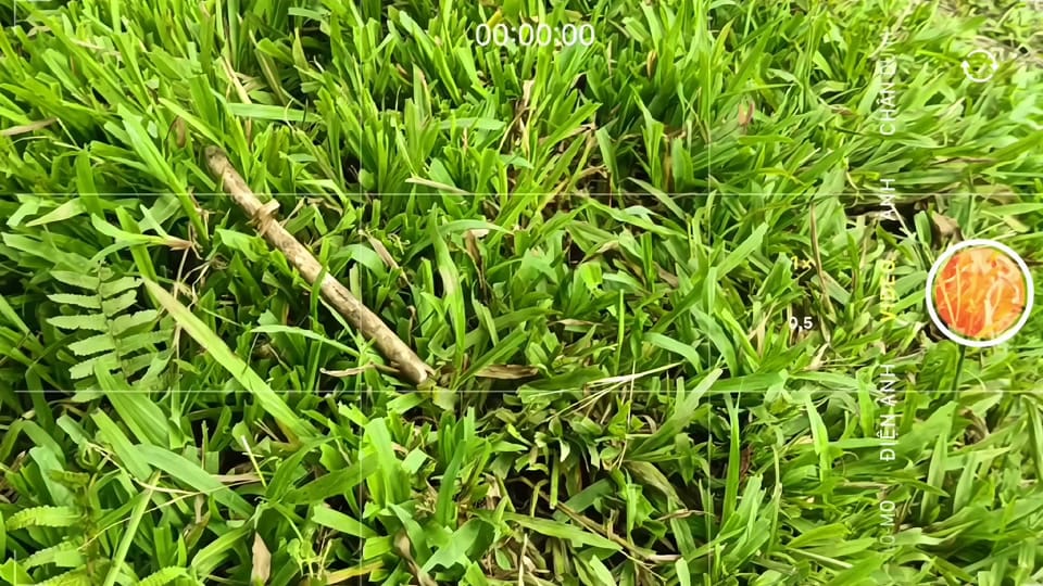 Post 10 by bob° on TikTok (video)