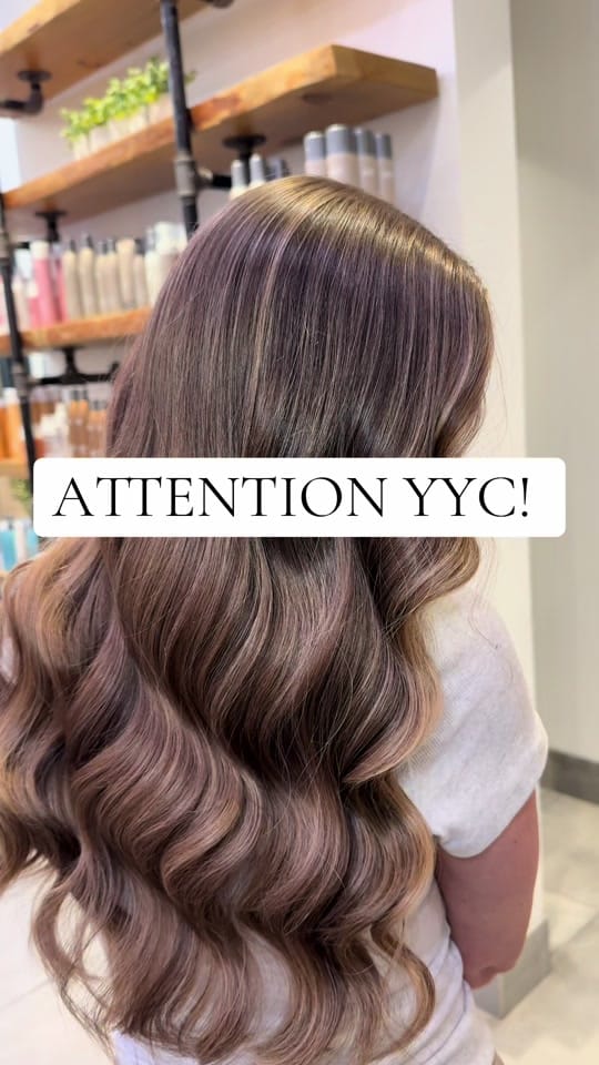 Post 7 by ashley.zuber on TikTok (video)