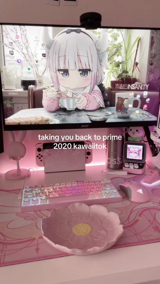 Post 1 by soya ʕ•ᴥ•ʔ 🍡🌸 on TikTok (video)