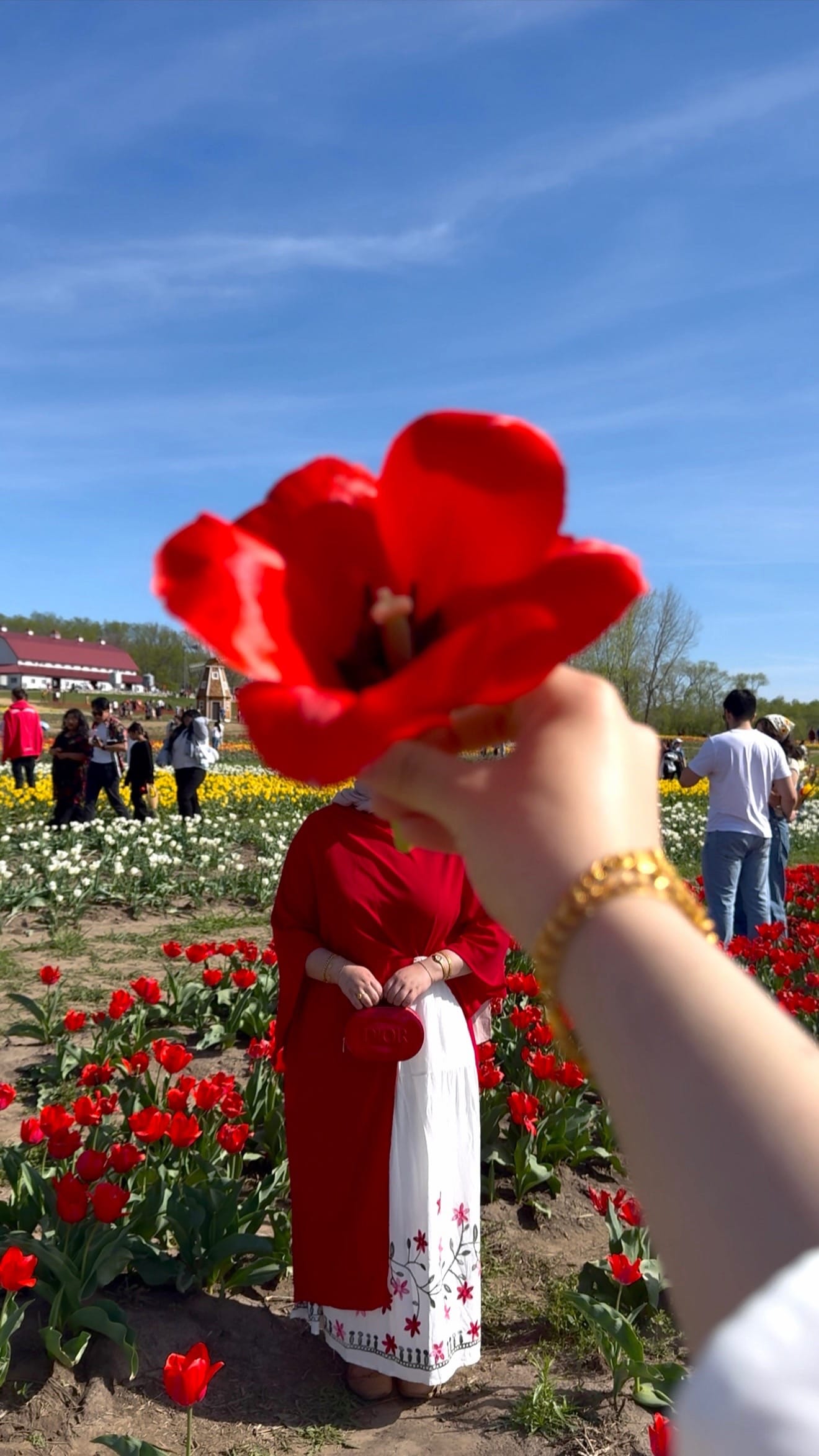Post 3 by nourie on TikTok (video)