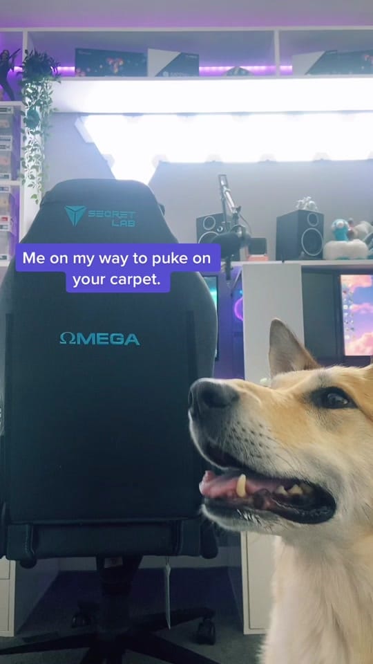 Post 3 by gaming.synths on TikTok (video)