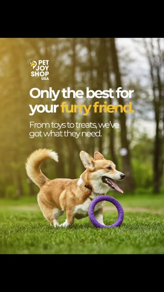 Post 2 by PetJoyShopUSA on TikTok (video)