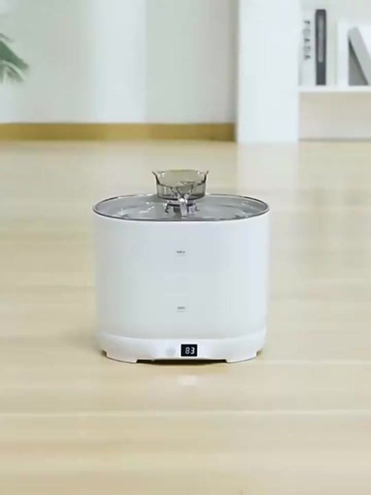 Post 7 by PetJoyShopUSA on TikTok (video)
