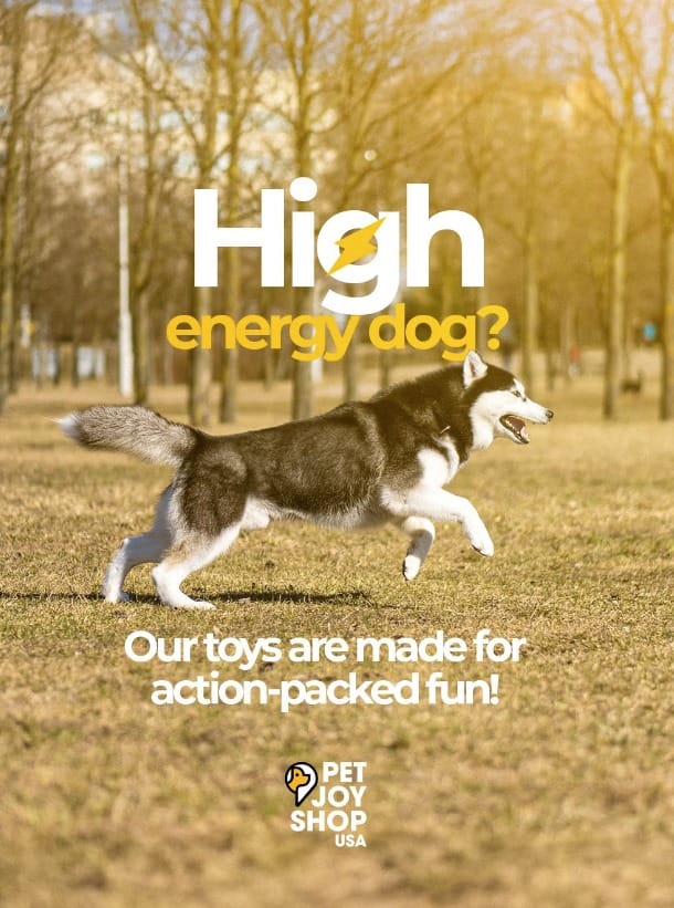 Post 1 by PetJoyShopUSA on TikTok (video)