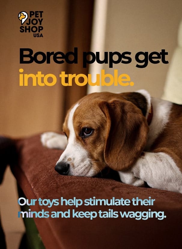 Post 4 by PetJoyShopUSA on TikTok (video)