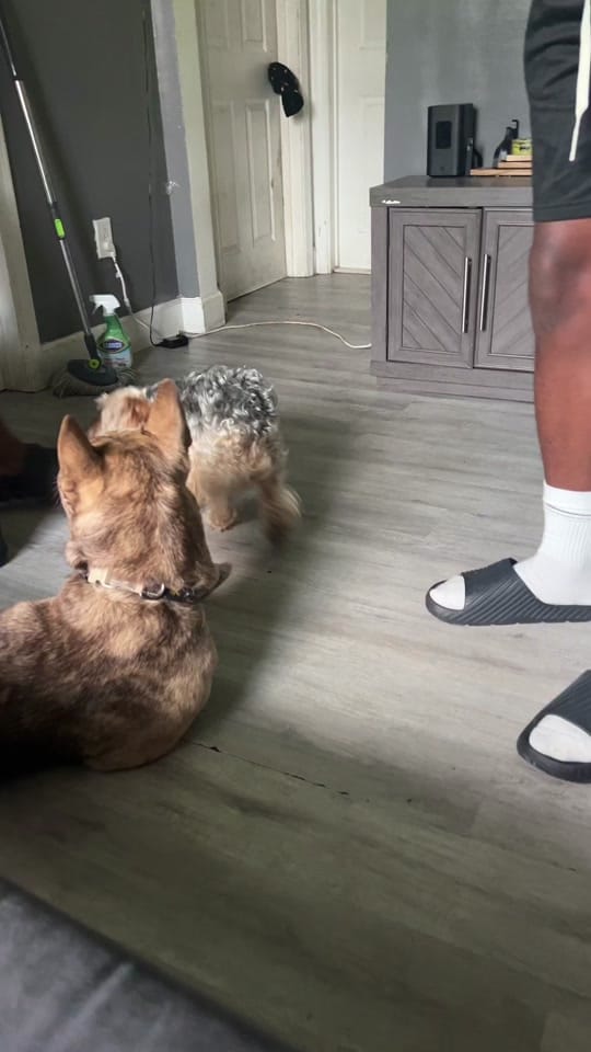 Post 2 by Skky on TikTok (video)
