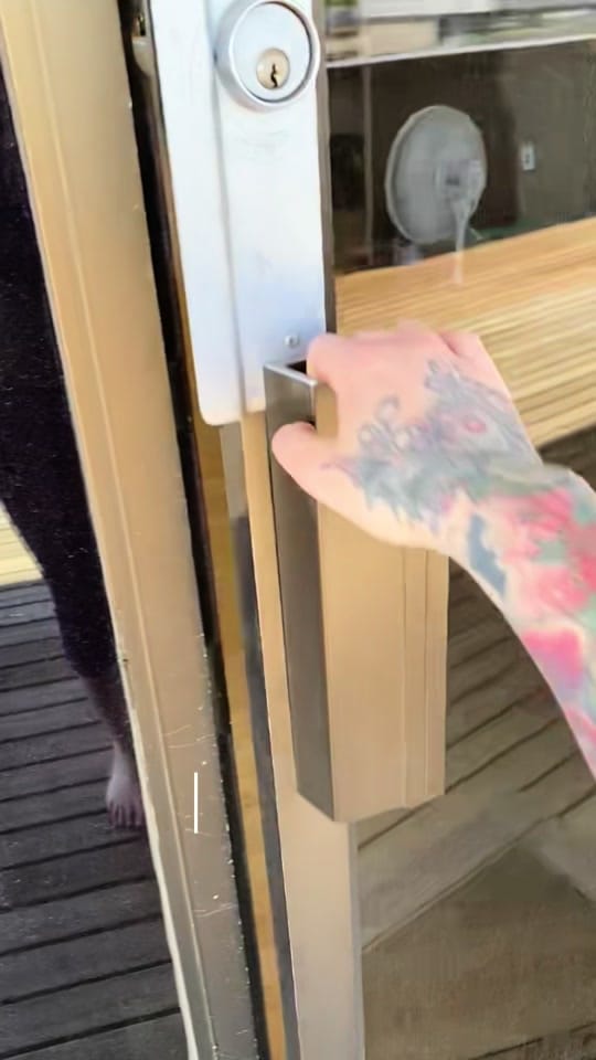 Post 4 by DANI | 8 TRACK TATTOO 🇨🇦 on TikTok (video)