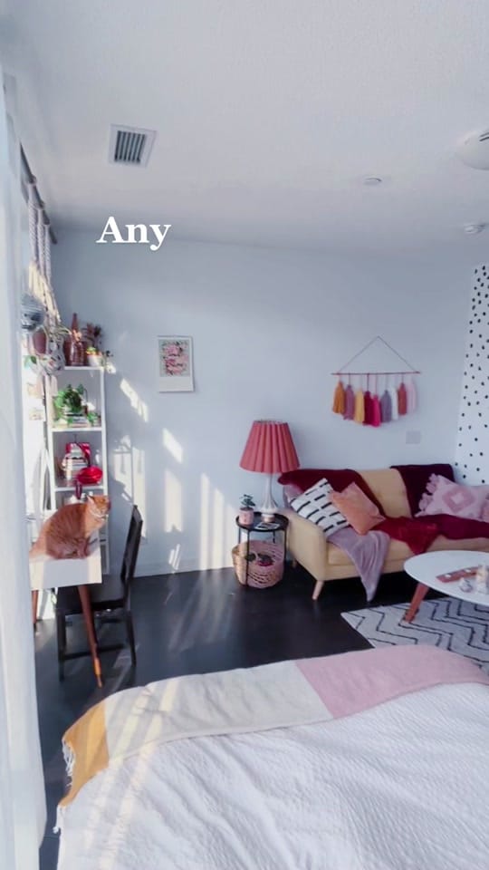 Post 9 by Steffie Davis on TikTok (video)