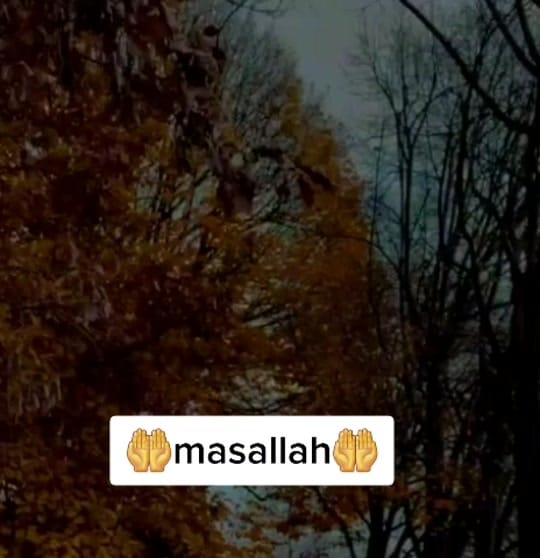 Post 10 by 💜🌸Lovely shida🌸💜 on TikTok (video)