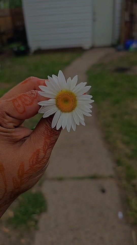Post 6 by 💜🌸Lovely shida🌸💜 on TikTok (video)