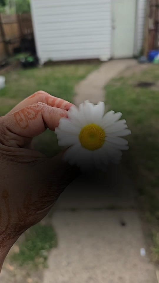 Post 5 by 💜🌸Lovely shida🌸💜 on TikTok (video)