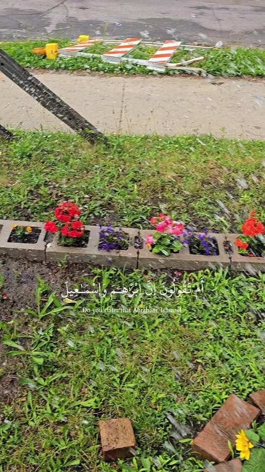 Post 2 by 💜🌸Lovely shida🌸💜 on TikTok (video)