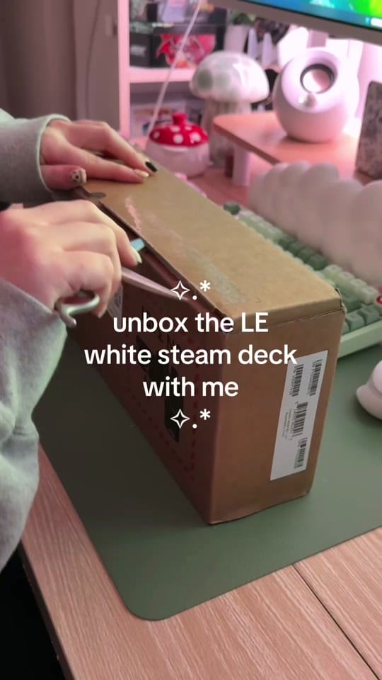 Post 10 by desk setup | cozy gaming 🌱 on TikTok (video)