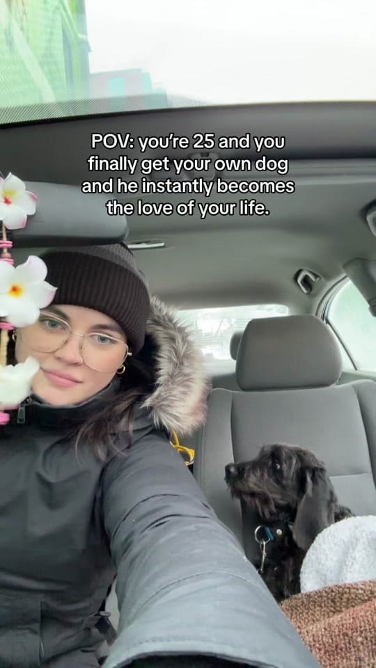 Post 10 by Grace Quinn on TikTok (video)