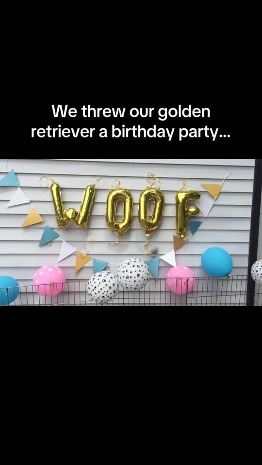 Post 2 by The Joyful Goldens • Alissa on TikTok (video)