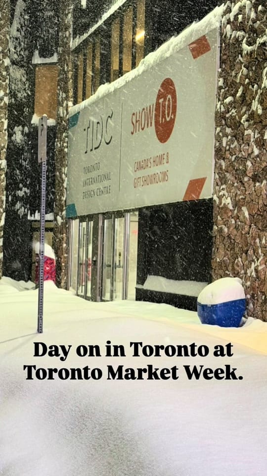 Post 6 by Tumbleweed Toys 🇨🇦 on TikTok (video)