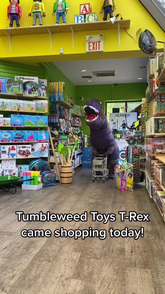 Post 9 by Tumbleweed Toys 🇨🇦 on TikTok (video)