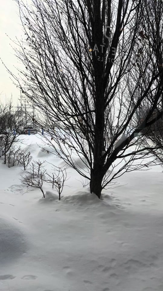 Post 4 by Tumbleweed Toys 🇨🇦 on TikTok (video)