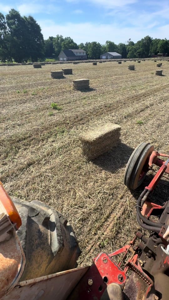 Post 2 by Jacob’s Farm Life on TikTok (video)