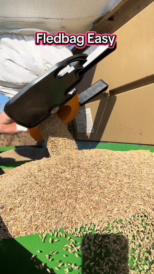 Post 8 by Jacob’s Farm Life on TikTok (video)