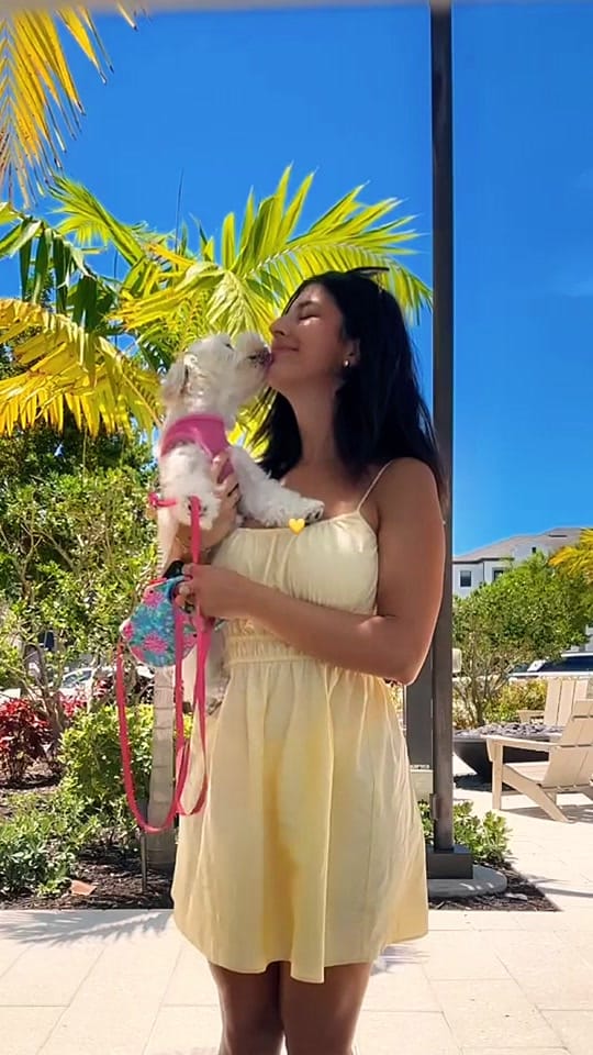 Post 8 by Brittani Arielle on TikTok (video)