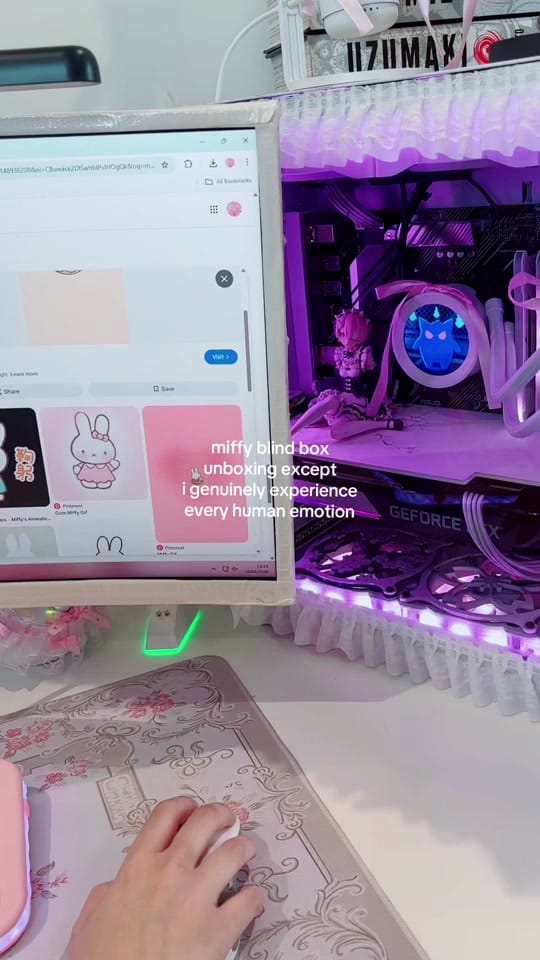 Post 8 by Nintendo Grl on TikTok (video)