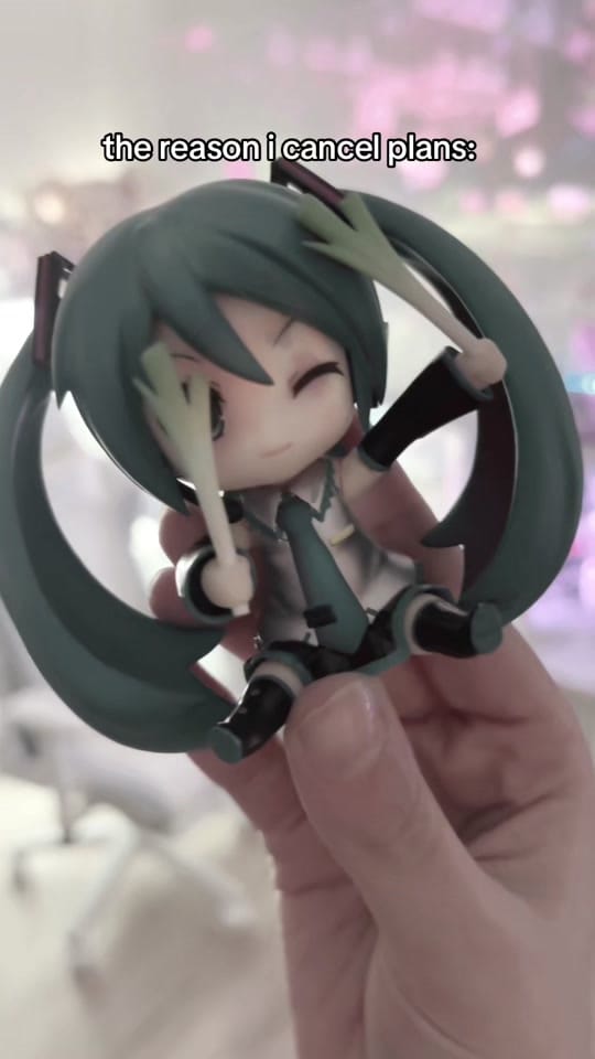 Post 5 by Nintendo Grl on TikTok (video)