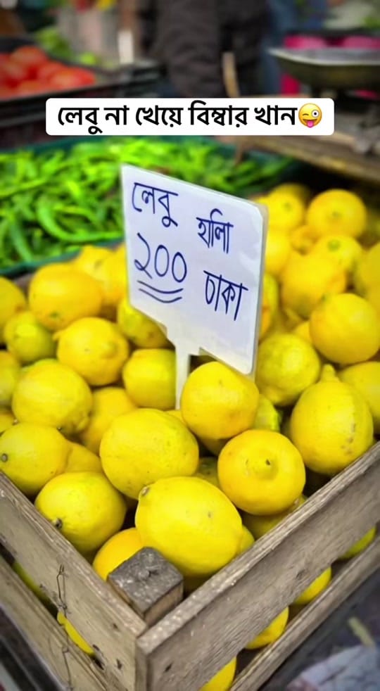 Post 4 by Proxy Shakil 🇧🇩🇬🇧 on TikTok (video)