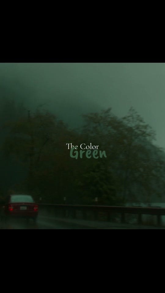 Post 2 by throughthepnw on TikTok (video)