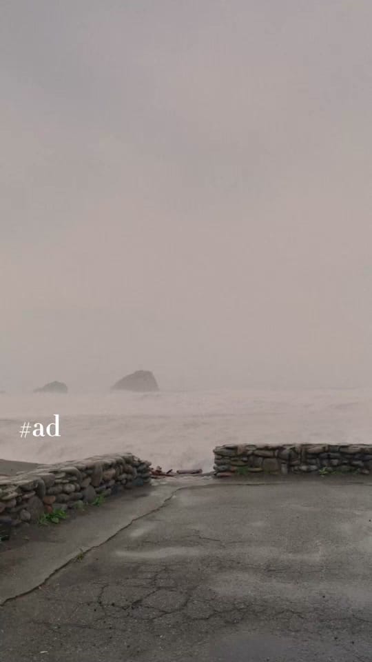 Post 7 by throughthepnw on TikTok (video)