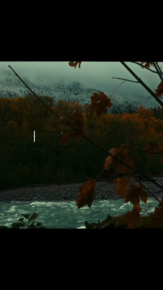 Post 4 by throughthepnw on TikTok (video)