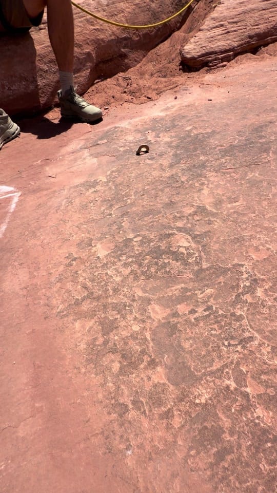 Post 4 by Moab Swingers on TikTok (video)