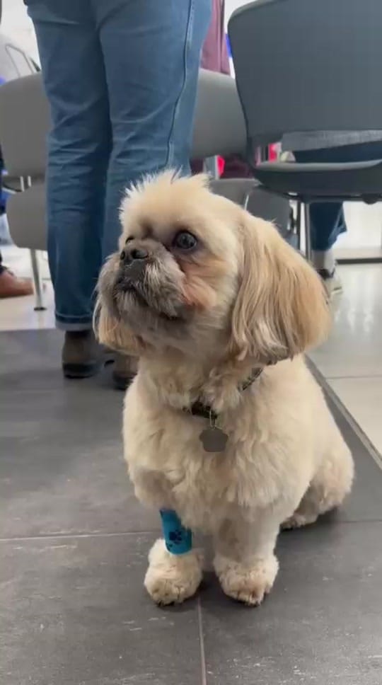 Post 6 by RMG on TikTok (video)