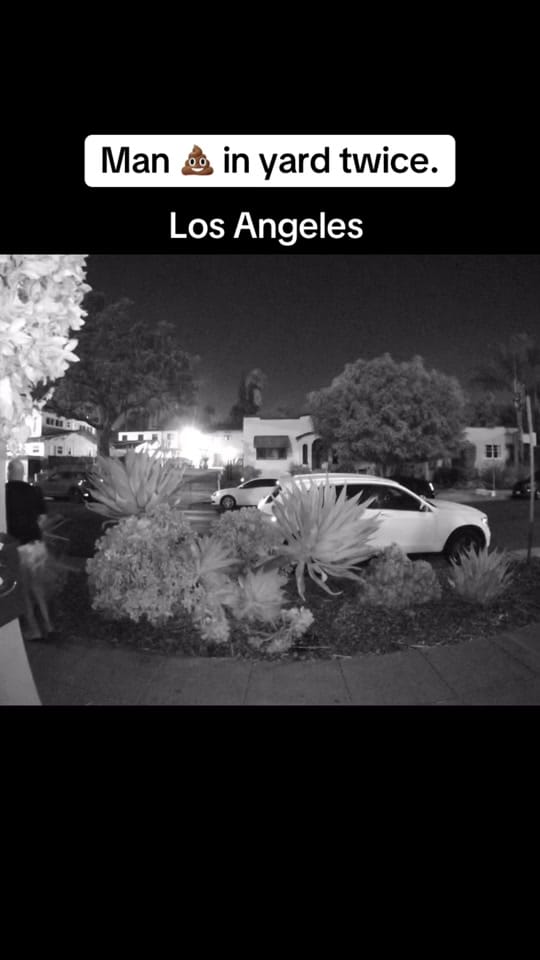 Post 8 by ABC Affiliate on TikTok (video)