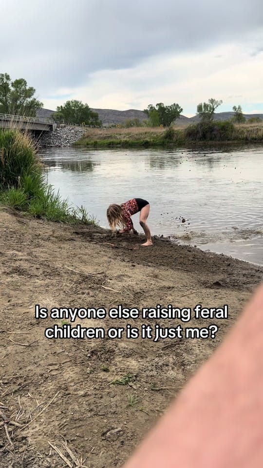 Post 2 by Clayton Cassidy on TikTok (video)