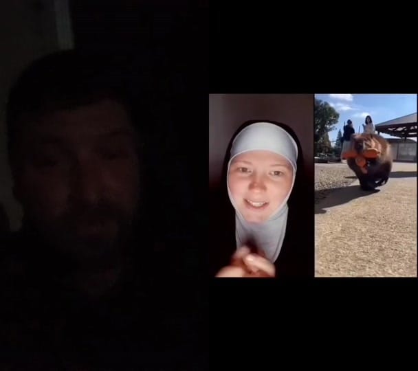 Post 9 by Tal Shiflett on TikTok (video)