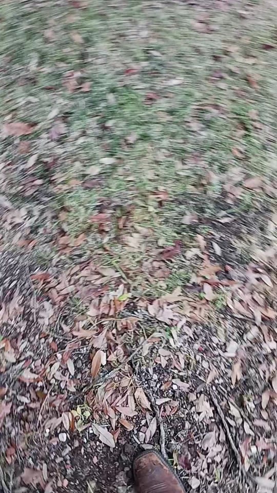 Post 10 by Tal Shiflett on TikTok (video)