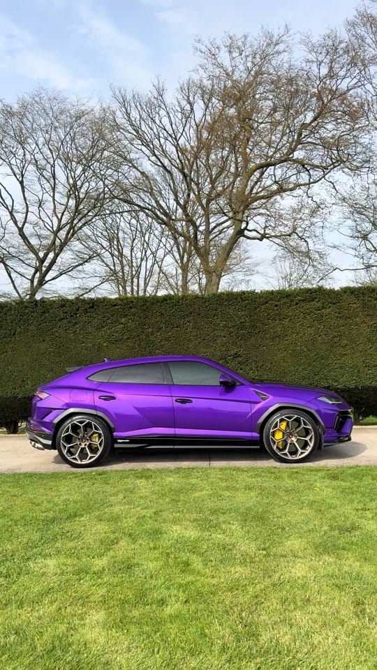Post 4 by Monarch Enterprises on TikTok (video)