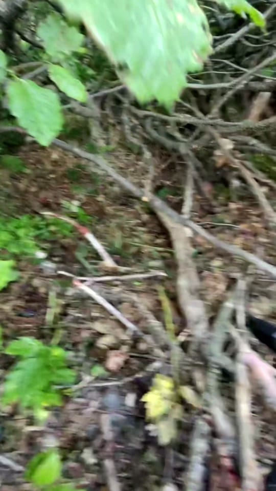 Post 10 by inthesemountains on TikTok (video)