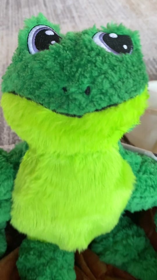 Post 5 by Rico Chihuahua on TikTok (video)