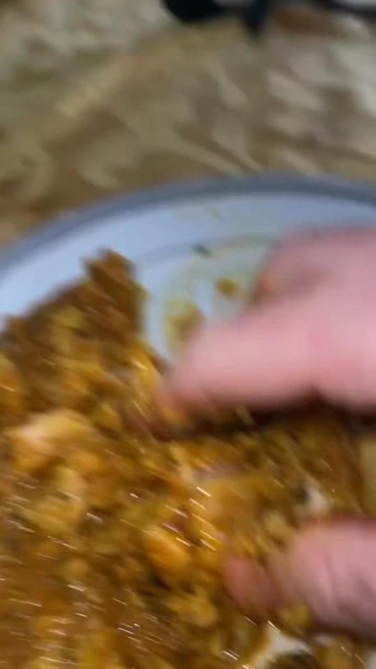 Post 8 by Nitin Suriacant on TikTok (video)