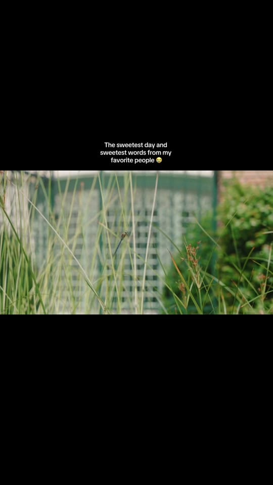 Post 8 by Kennedy Schmidt on TikTok (video)