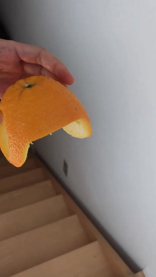 Post 10 by Kendra on TikTok (video)