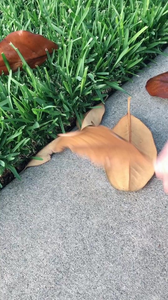 Post 2 by Kendra on TikTok (video)